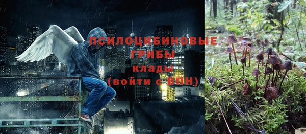 спиды Беломорск