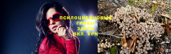 спиды Беломорск