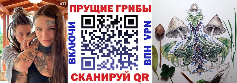 Псилоцибиновые грибы Magic Shrooms  продажа наркотиков  это состав  Шелехов 